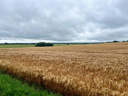 24-06-30 11-07-21 0030